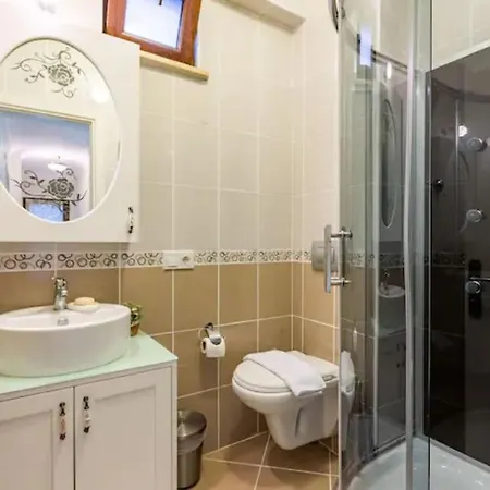 Villa Gorgeous With Private Pool In Istanbul, *